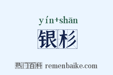 银杉是什么意思的图片